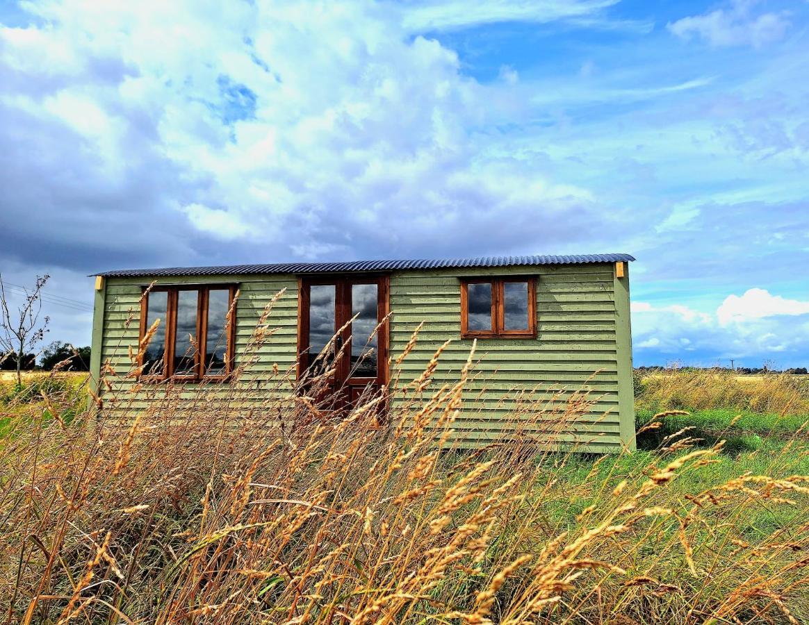 Boyce Fen Farm Retreat Glamping & Fishery Villa Wisbech Exterior foto